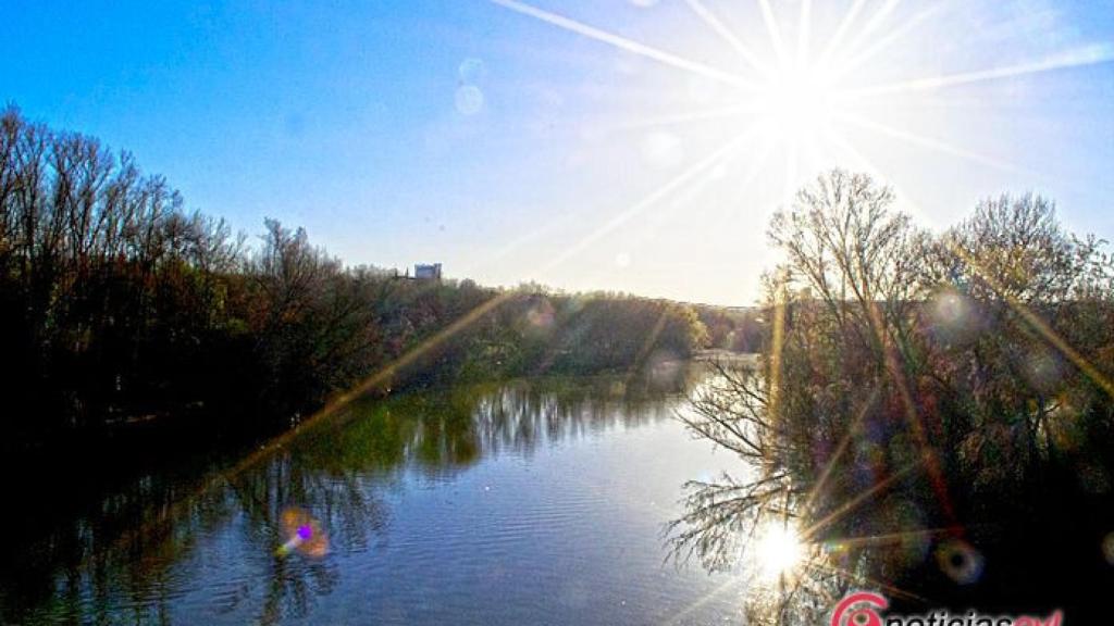 Valladolid Primavera Flores Color Reportaje 3