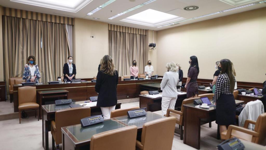 Las miembros de la Comisión de Igualdad durante el minuto de silencio este martes.