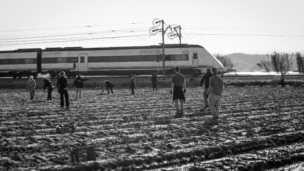 La accesibilidad a los servicios y la España vaciada