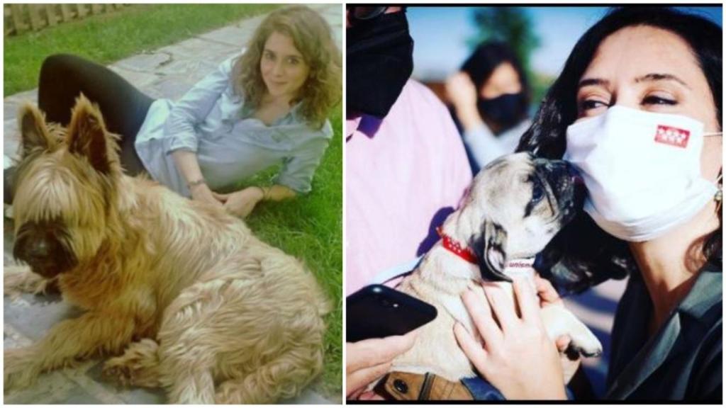 Isabel Díaz Ayuso, en un fotomontaje, en distintas etapas de su vida.