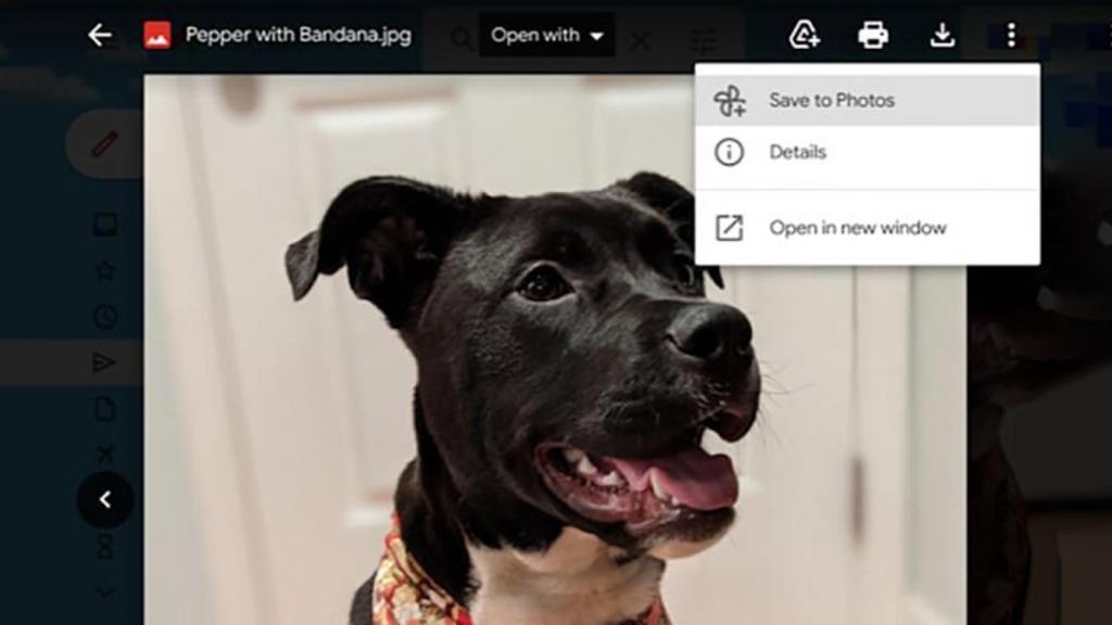 Opción para guardar en fotos.
