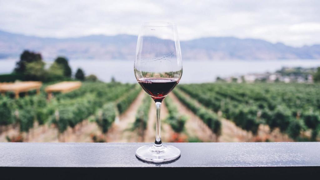 La cercanía del mar aporta salinidad a los vinos.