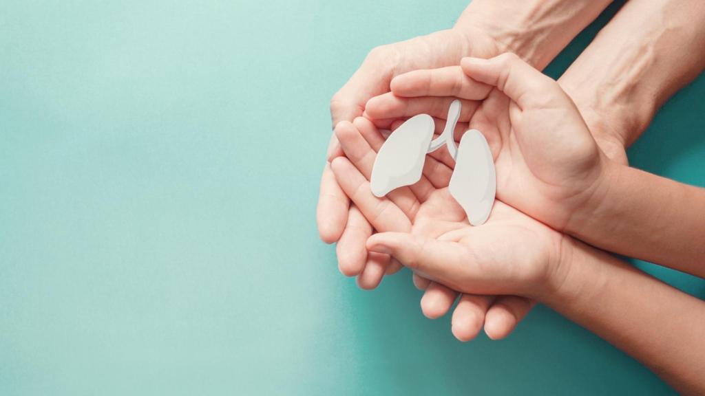 Los pulmones son uno de los órganos más importantes del cuerpo humano.