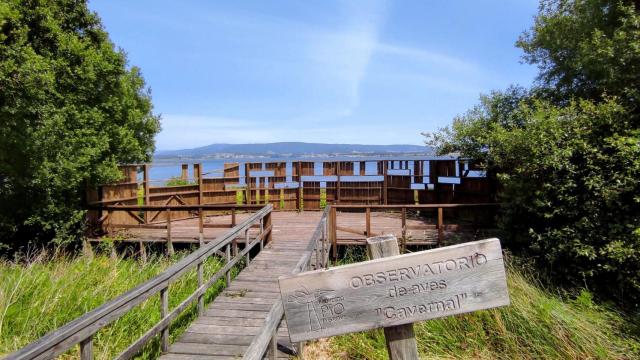 Observatorio de aves en O Grove.