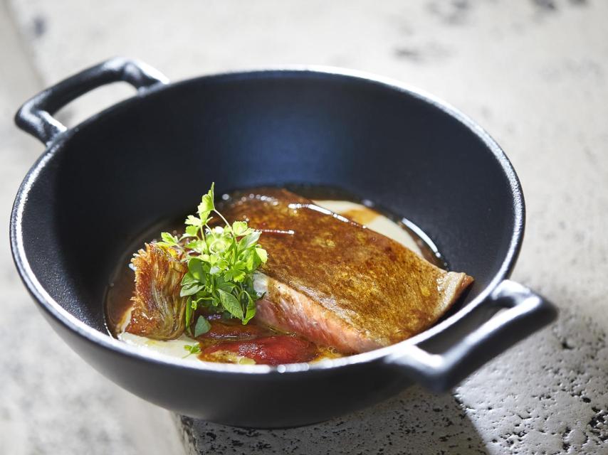 Salmón salvaje de Alaska, vichysoisse, alcachofa a la parrilla y pimiento asado al sarmiento