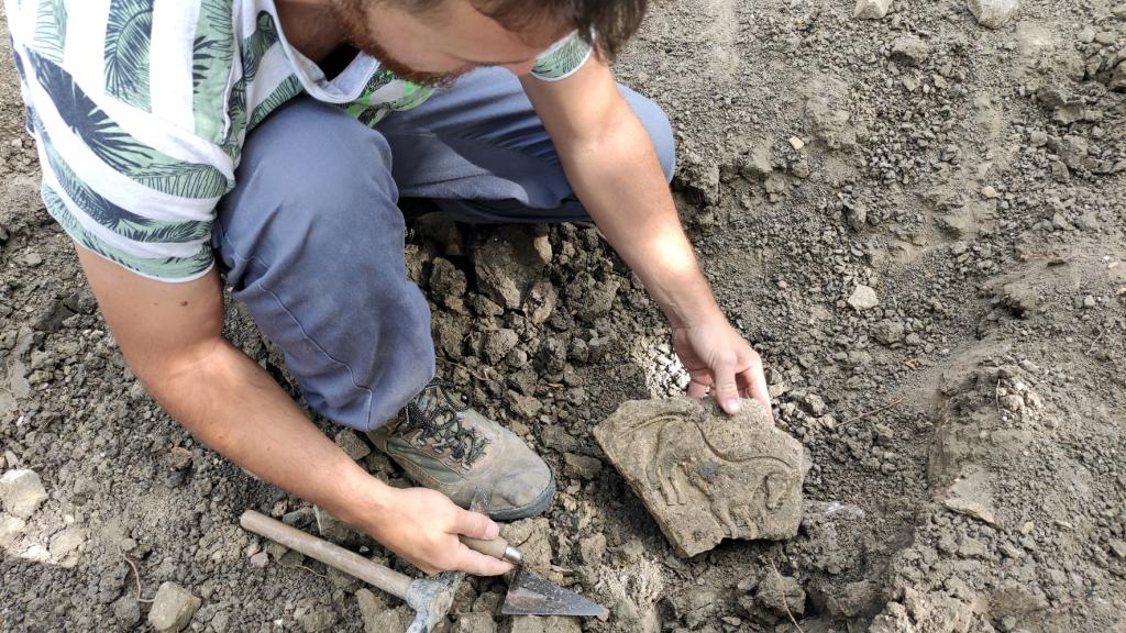 Momento del hallazgo de uno de los exvotos zoomorfos.