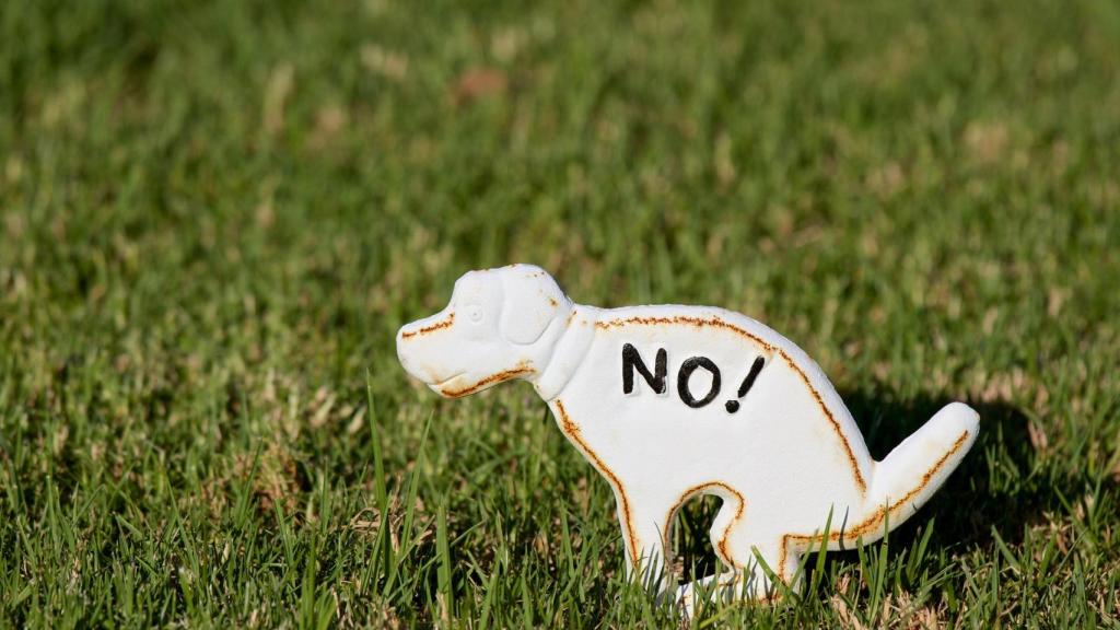 ‘Pontecaca’: la web pontevedresa que ubica las zonas con más heces de perro de la ciudad