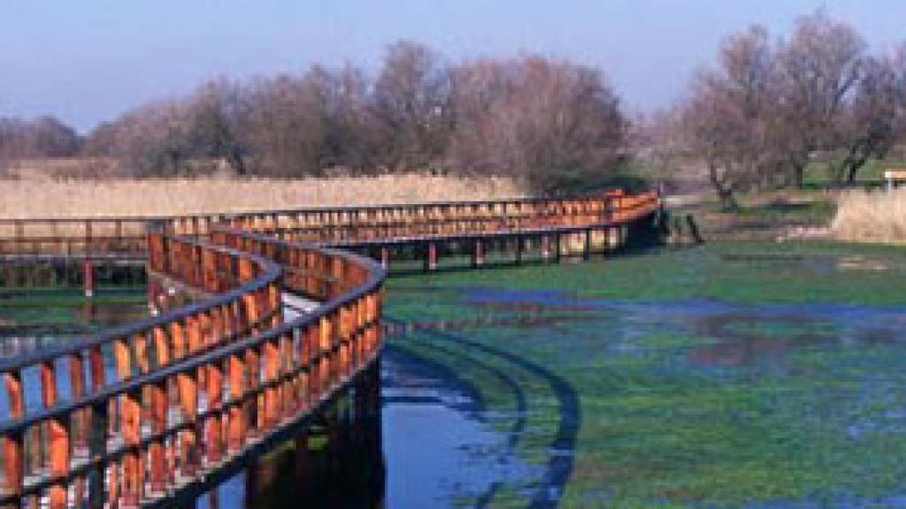 Tablas de Daimiel, en Ciudad Real.
