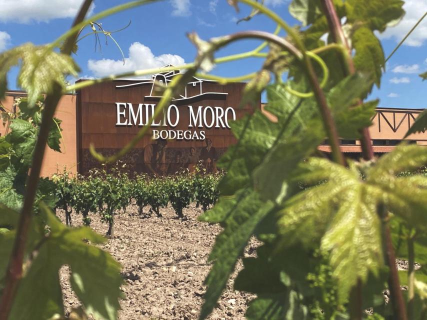 Bodega Emilio Moro en El Bierzo.