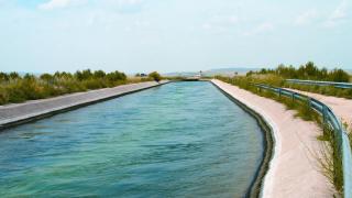 La Cátedra del Tajo propone recortar el trasvase a 120 hm³ anuales: "No se trasvasa lo que se quiere, sino lo que se puede"