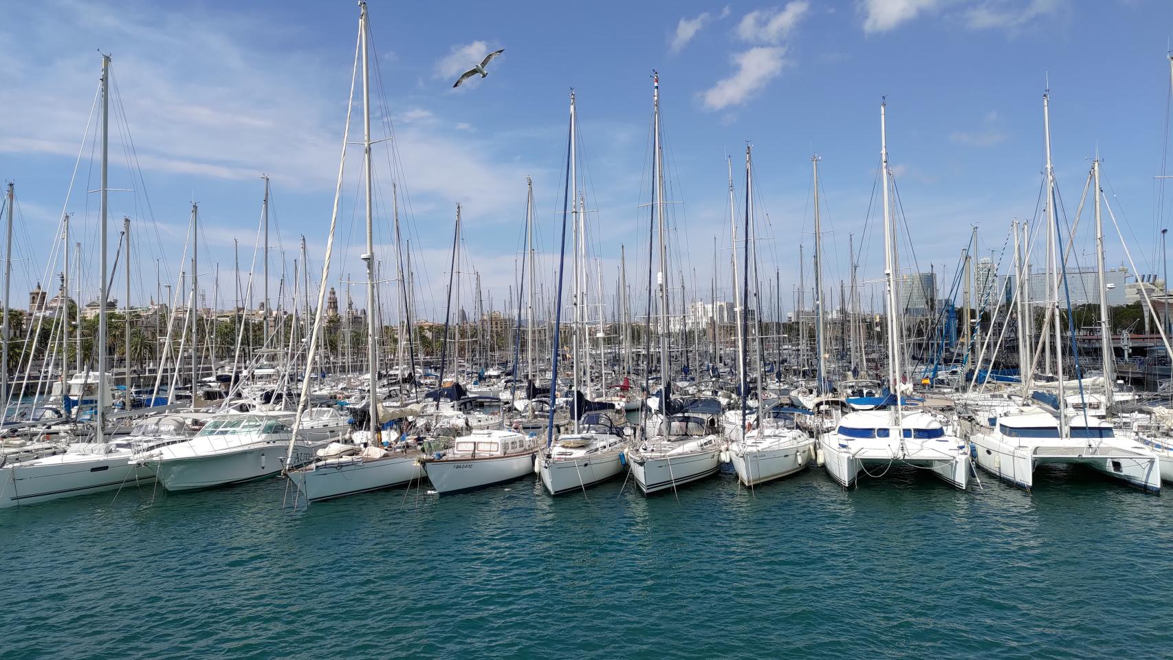 Fotos tomadas con el Asus ZenFone 8