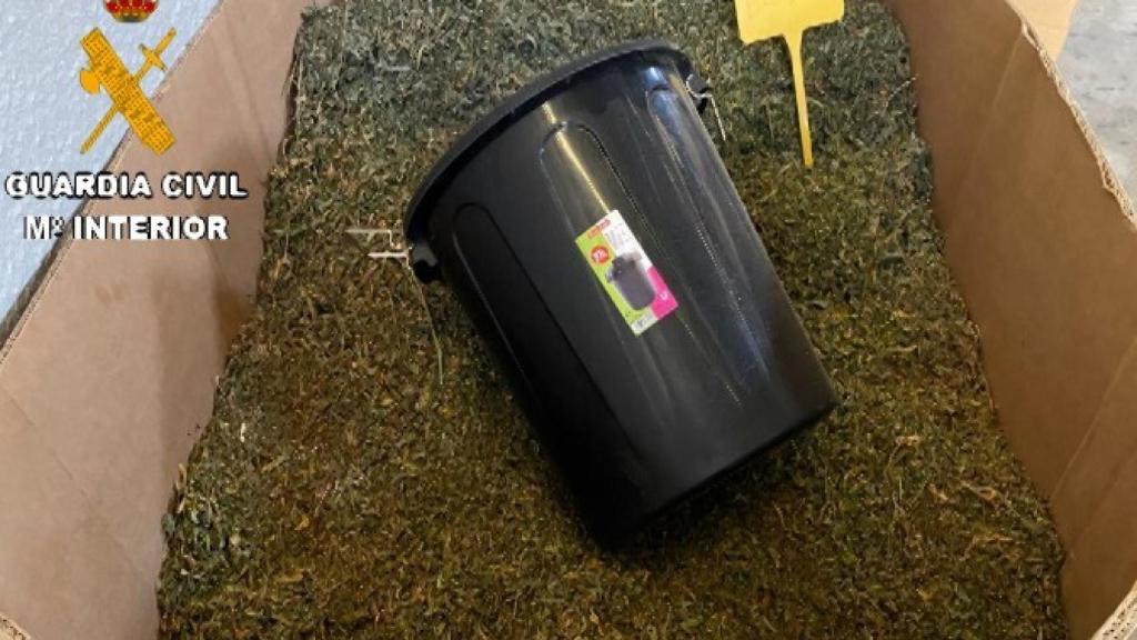 Marihuana intervenida en la operación.