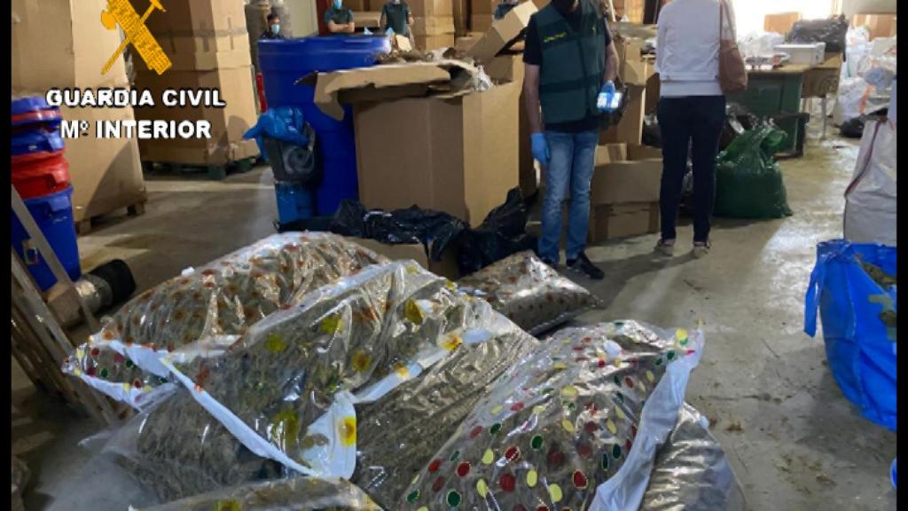 Agentes interviniendo en la nave.