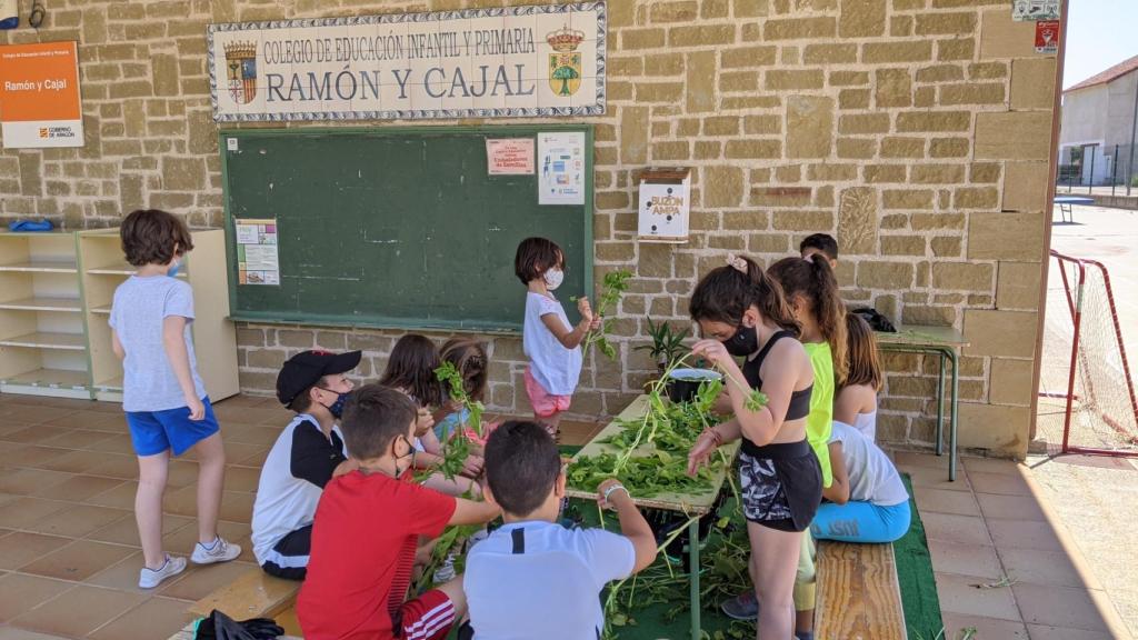 Los pequeños, en el colegio Ramón y Cajal de Alpartir (Zaragoza).
