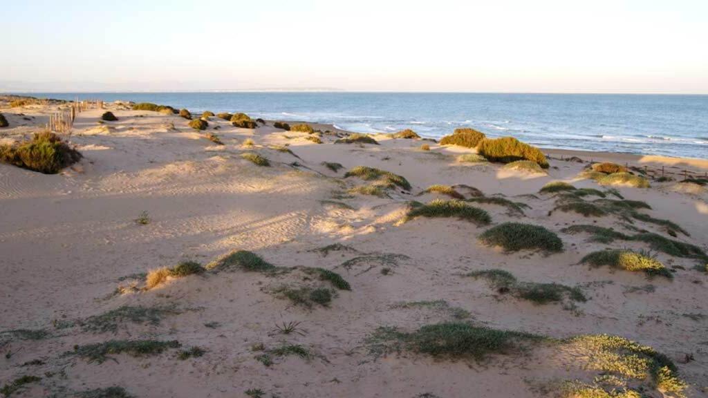 Las Dunas de Guardamar albergan dos importantes yacimientos arqueológicos.