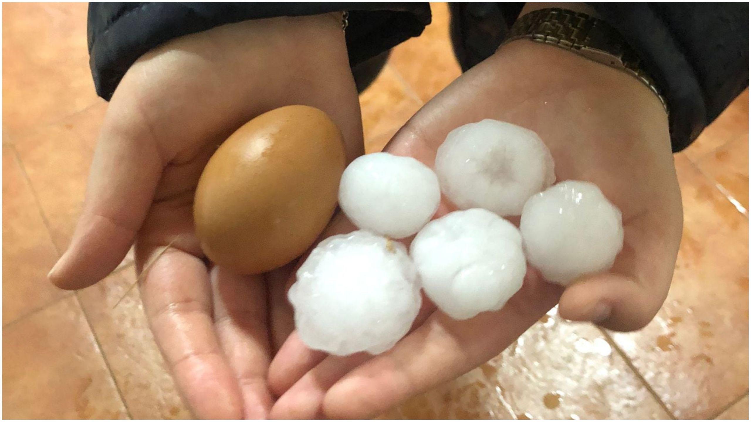 Tamaño de las pelotas de granizo de la jornada de ayer. Foto: Twitter @patriciabp1