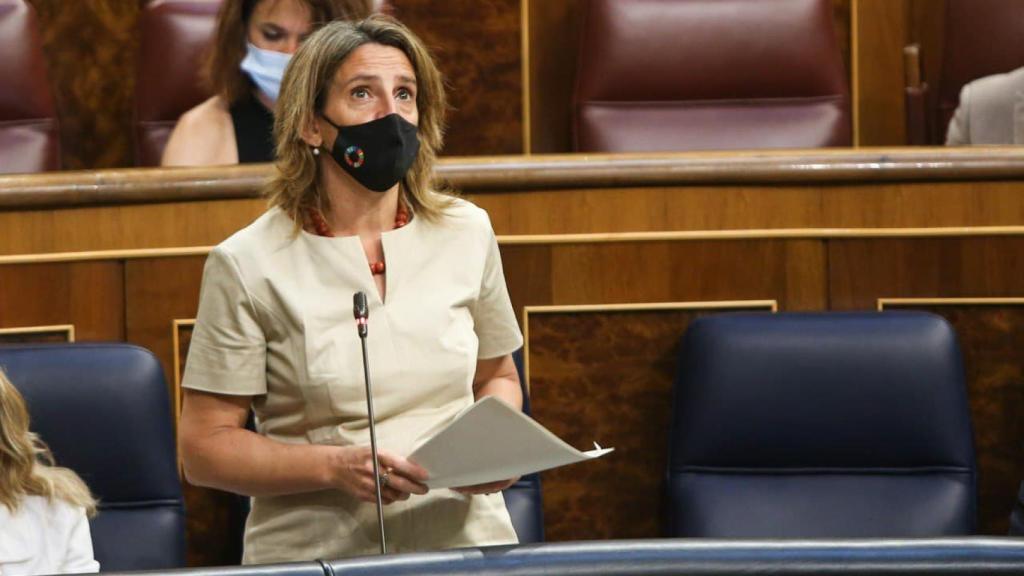 La vicepresidenta cuarta y ministra para la Transición Ecológica y el Reto Demográfico, Teresa Ribera. Efe