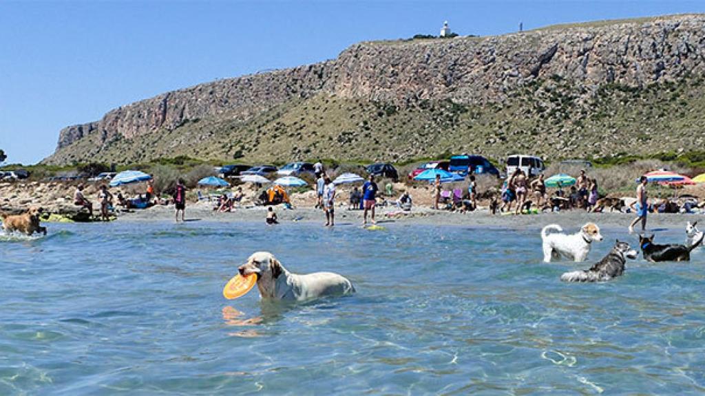 La Caleta dels Gossets obtuvo el premio al mejor destino pet-friendly en 2018.