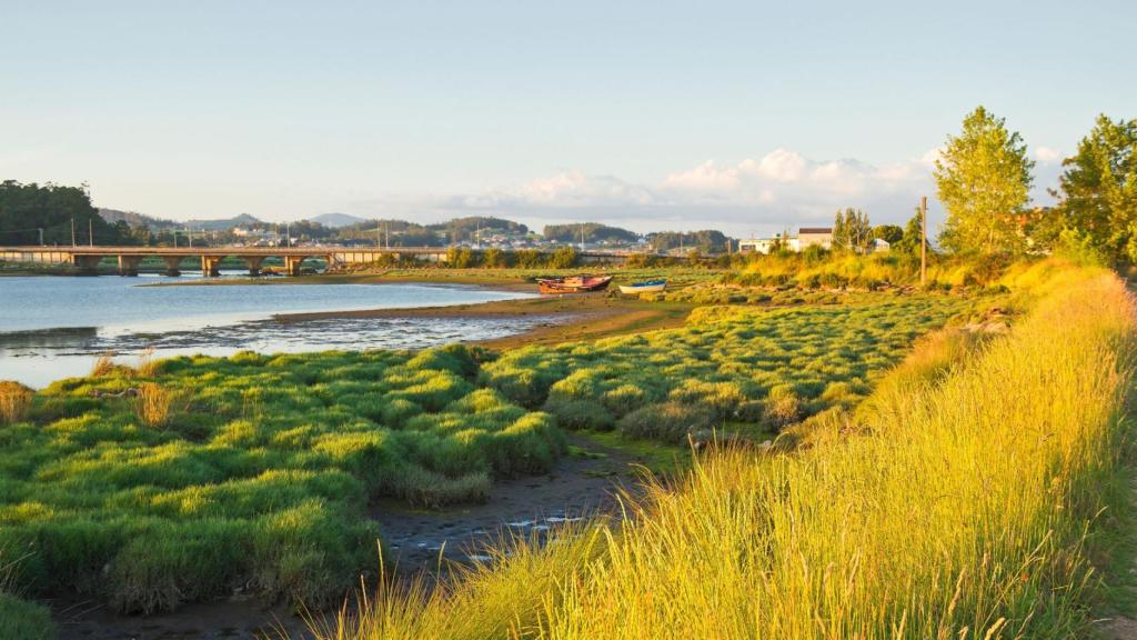 ¿De dónde viene el nombre de O Salnés? El curioso origen del topónimo