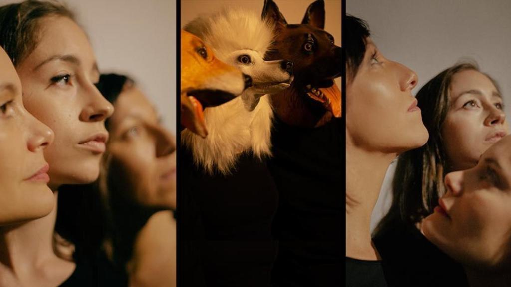 El coloquio de las perras