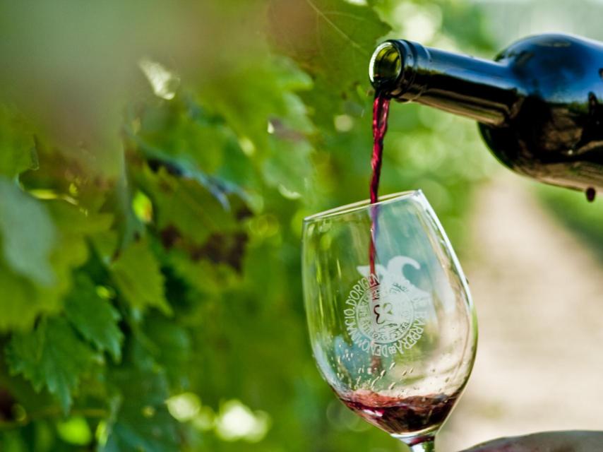 La uva trepat no es solo para hacer rosados.