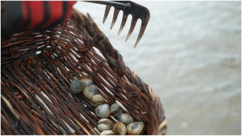 Fotograma de ‘Sabor a Cedeira’.