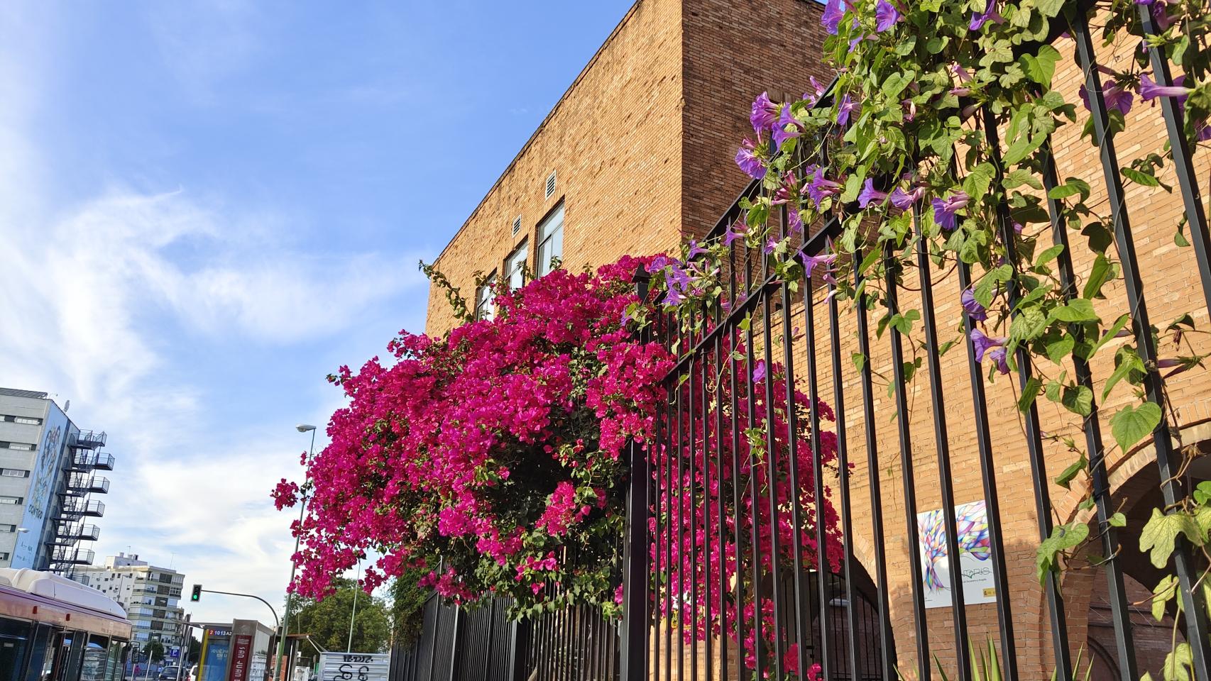 Probamos la cámara del Vivo X60 Pro