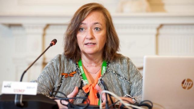 Cristina Herrero, presidente de AIReF, durante su intervención en el curso de la Apie en Santander.