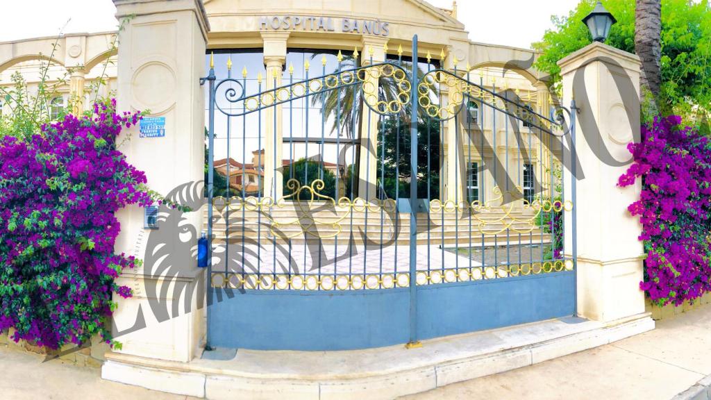 Hospital Banús.