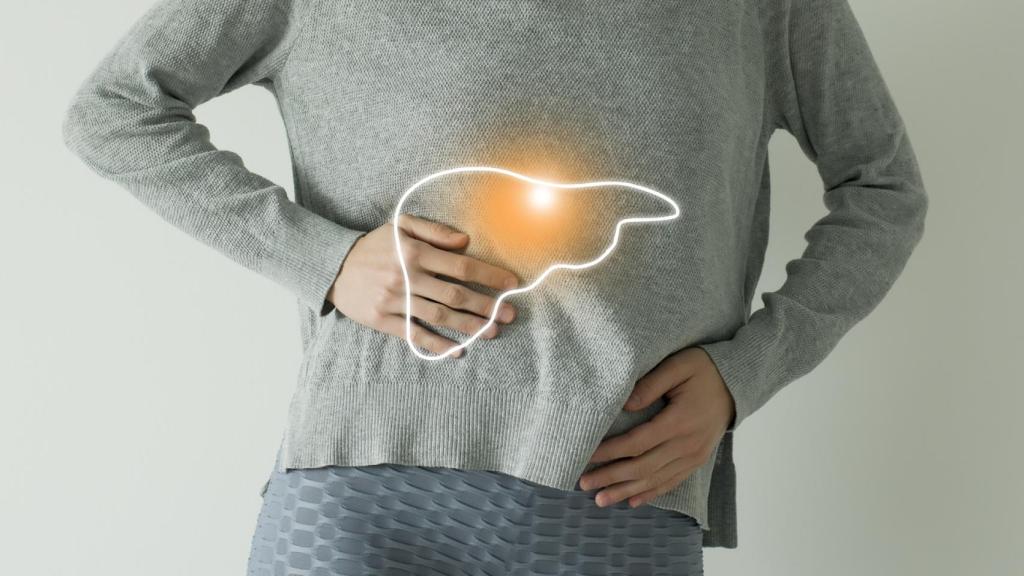 El hígado realiza más de 500 funciones distintas y hay un centenar de afecciones relacionadas con él.