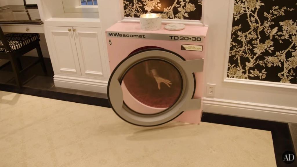 Cara Delevingne saliendo por la parte de atrás del túnel de la vagina.