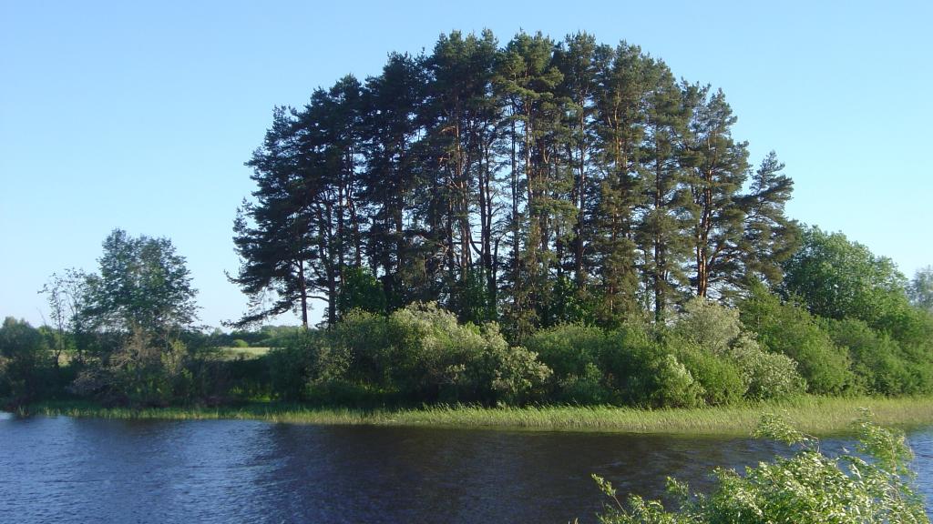 El yacimiento de Rinnukalns, a orillas del río Salaca, en Letonia