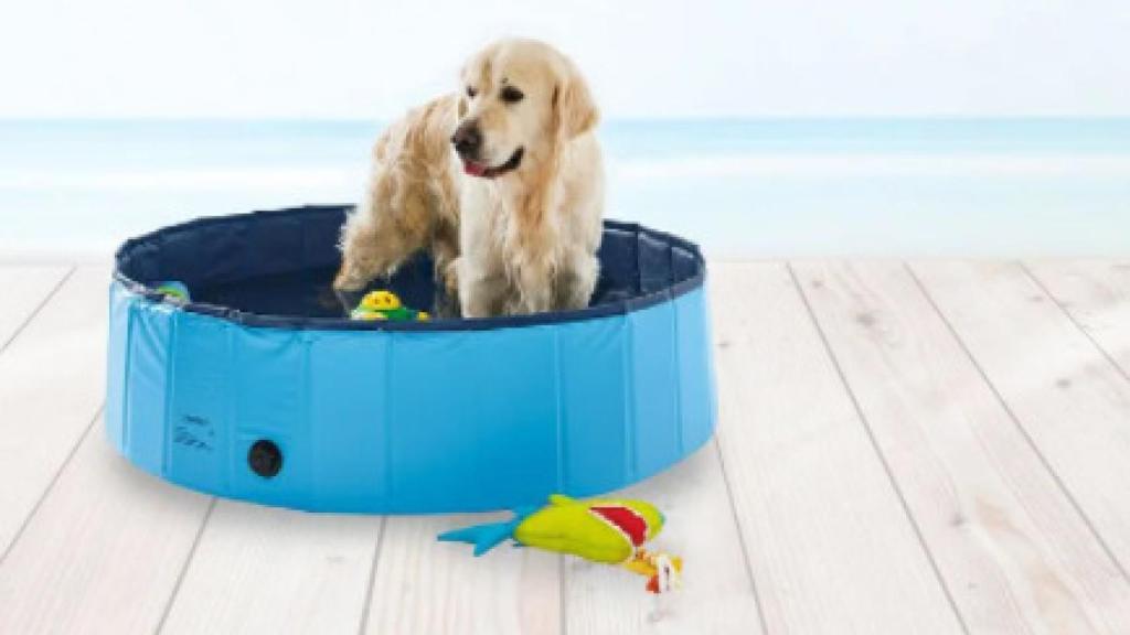 Piscina para perros