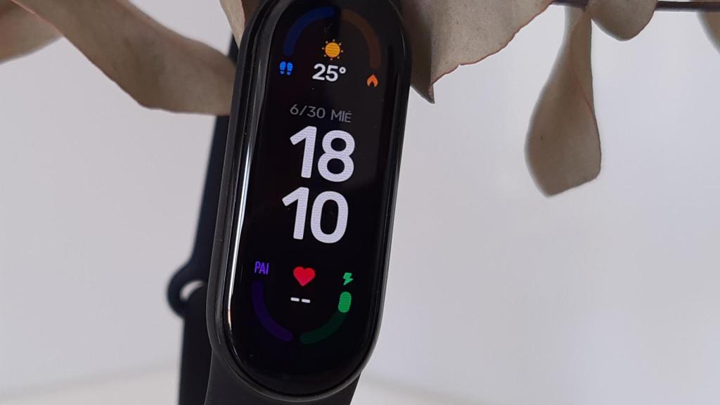 Mi Smart Band 6