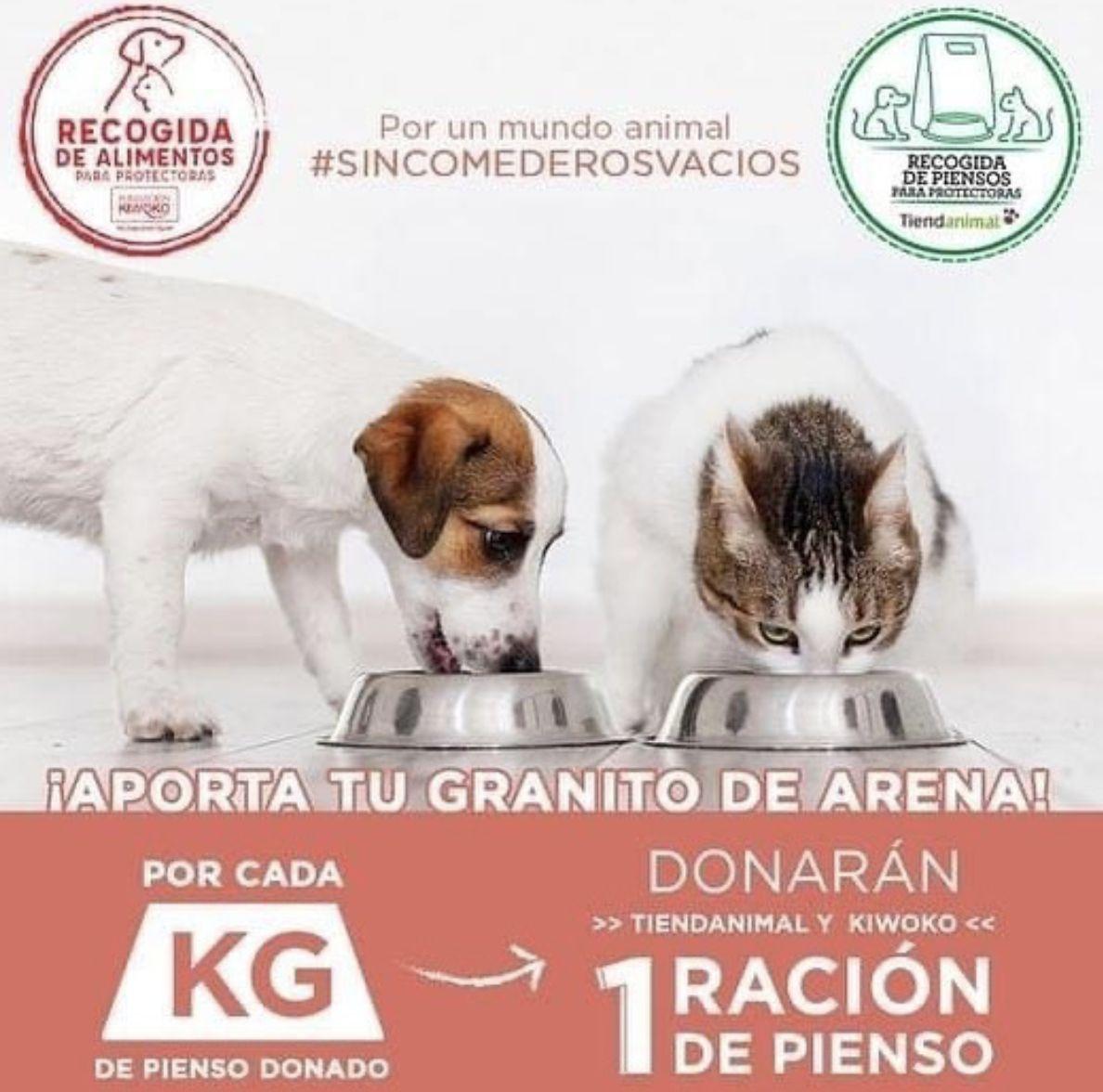 Recogida de donaciones el sábado 3 de julio en As Cancelas (Santiago)