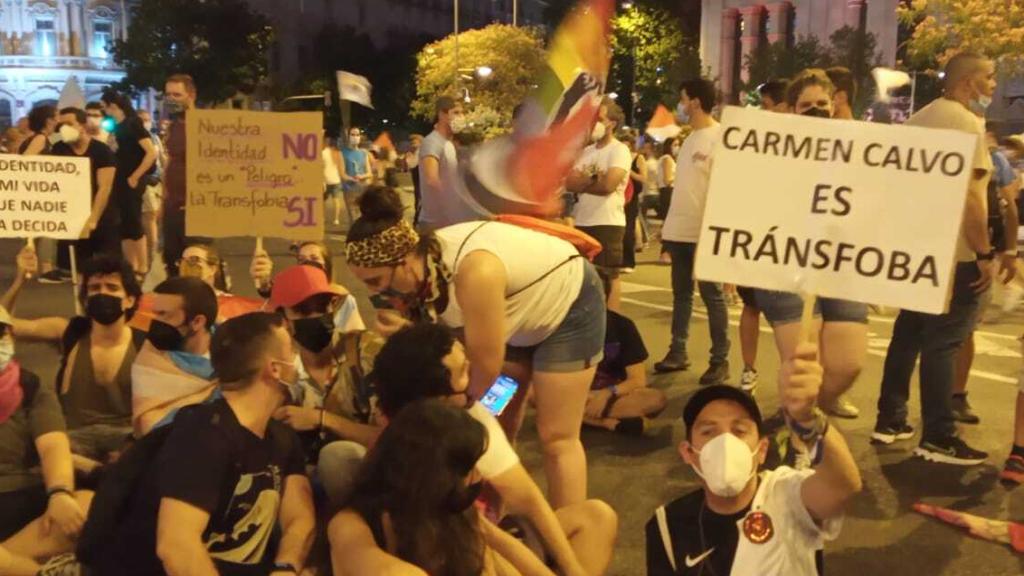 Miembros de la sentada contra el PSOE portaron pancartas contra Carmen Calvo.