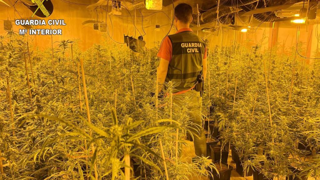 Operación antidroga en la localidad guadalajareña de El Casar