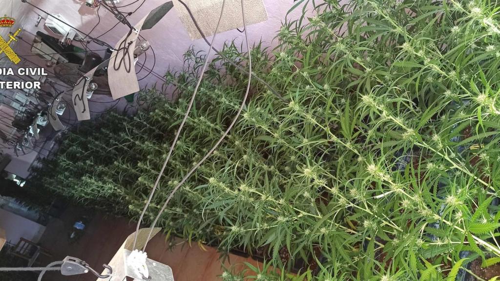 Operación antidroga en la localidad ciudadrealeña de Santa Cruz de Mudela