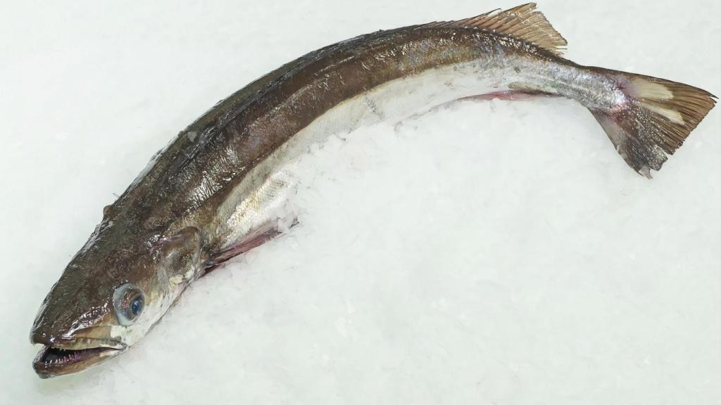 Merluza del pincho (Foto: Instagram // OPP Lugo)