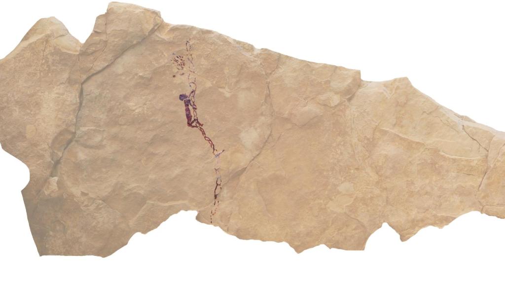 La escena de una persona subida a una escalera de cuerdas para obtener miel de una colmena pintada hace 7.500 años.