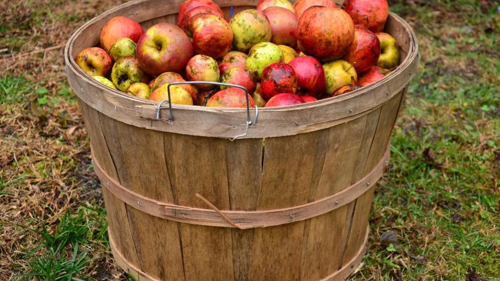 Las mejores sidras naturales de España