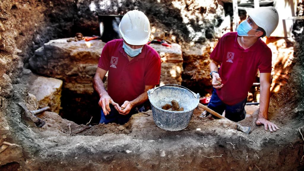 El proyecto de investigación es fruto de la colaboración entre el Cabildo y la Universidad de Córdoba.