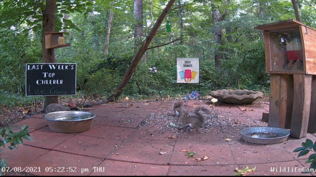 Última imagen de la cámara de seguridad. ¡Alucinante!