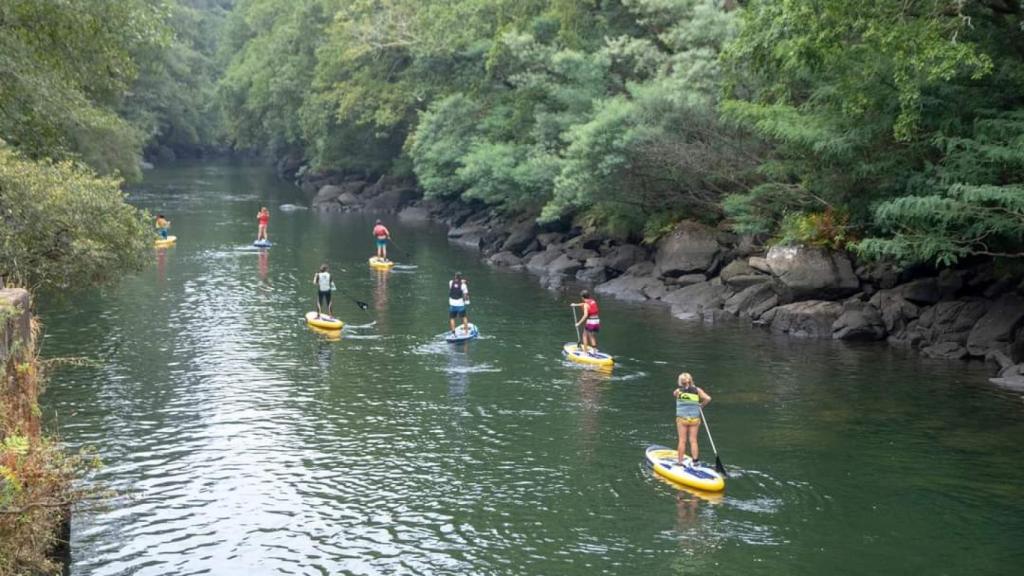 Imagen de la actividad en la edición de 2020
