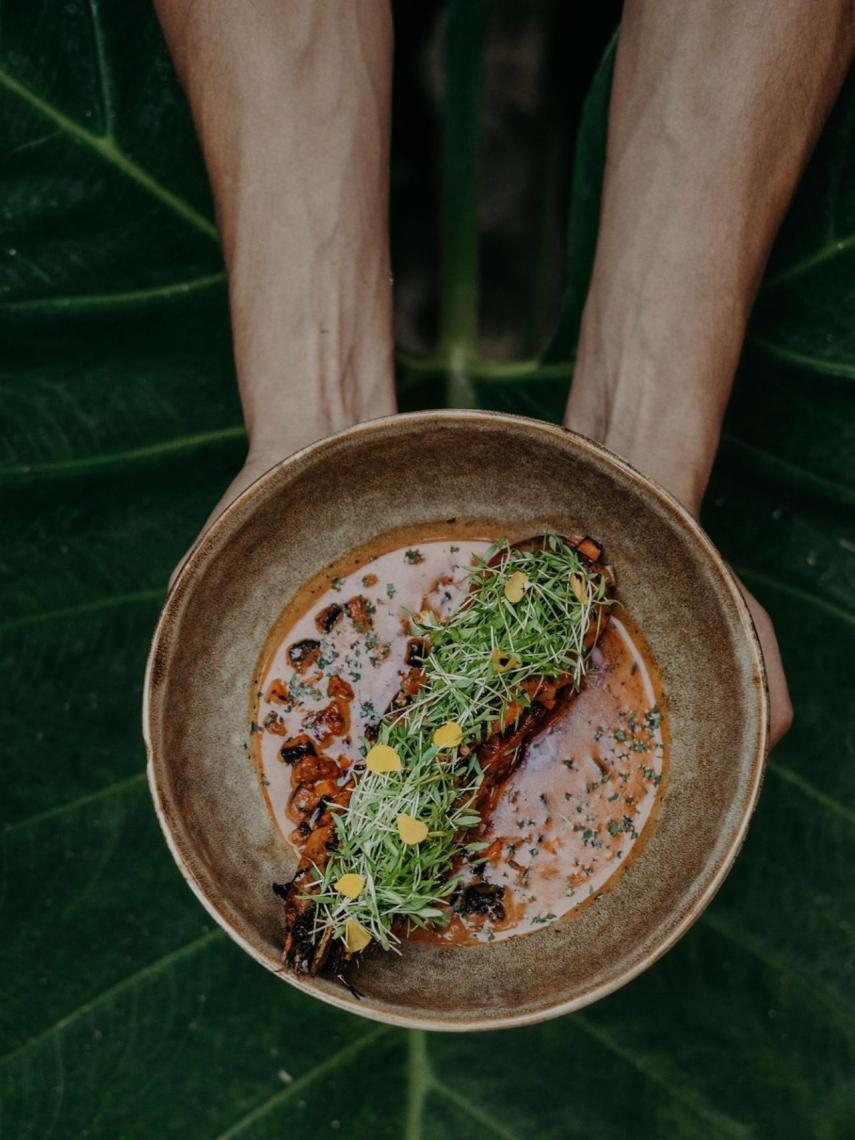 Camarones de Campeche - Wild Tulum