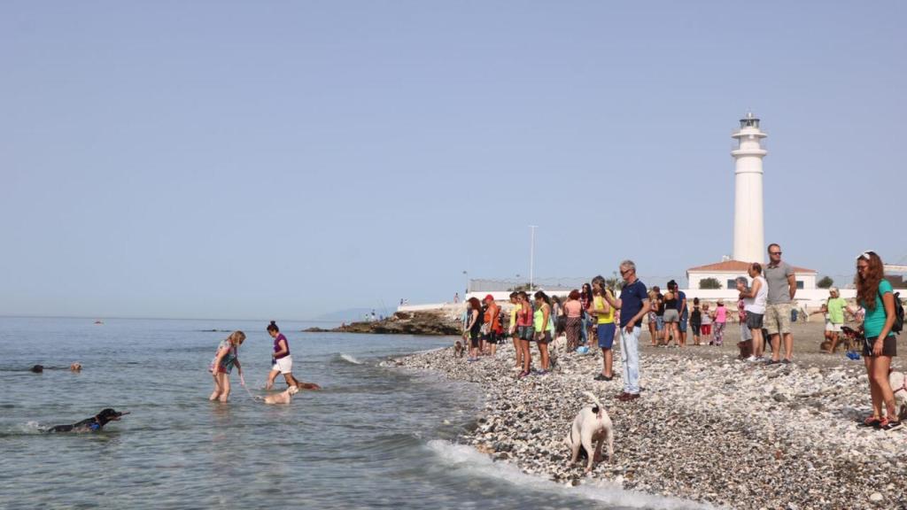 La cala de perros de Torrox es la elección idónea para pasar un día de playa más relajado que el programador de Neox.