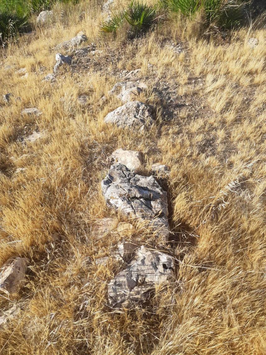 Una de las alineaciones de piedras de San Antón