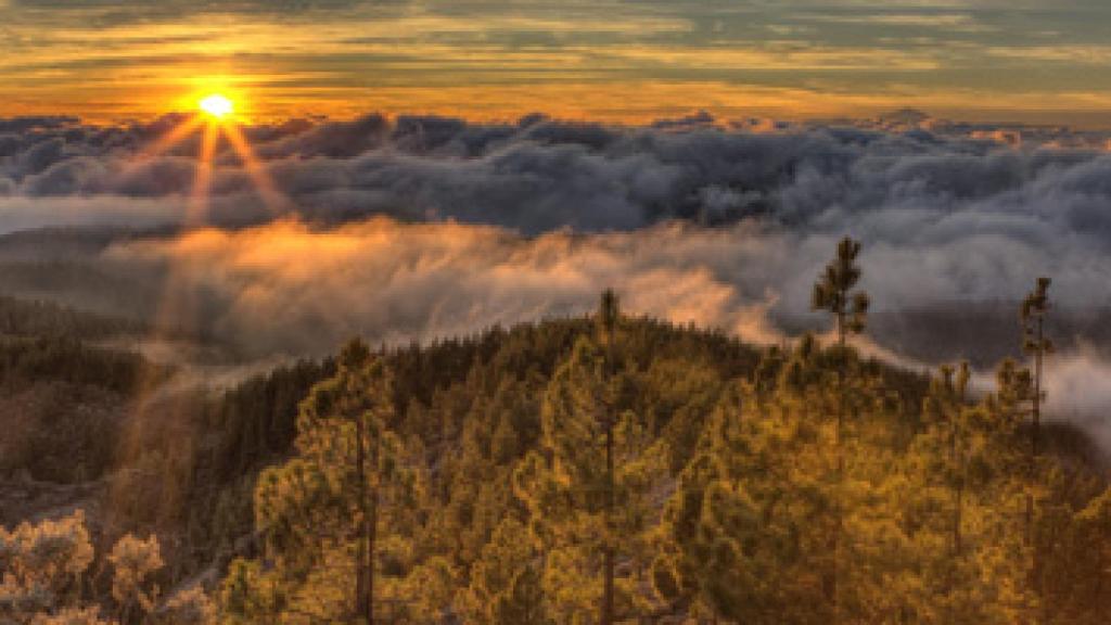 “Pico de los Pozos de las Nieves”