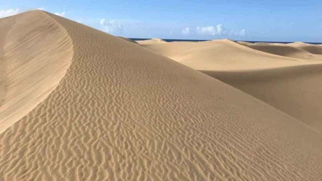 Dunas de Maspalomas