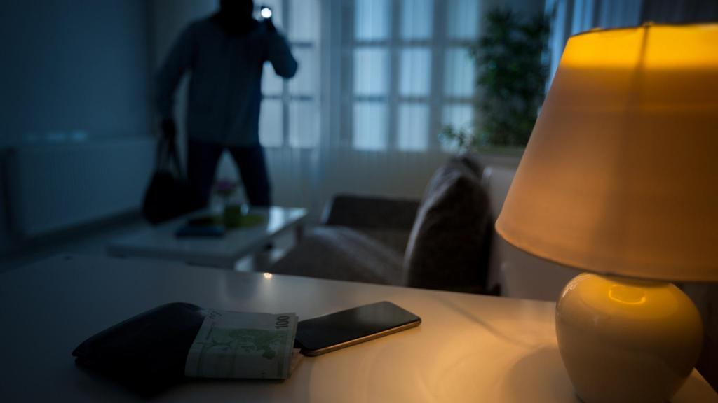 ladrón robo en domicilio